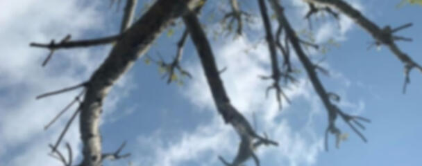 LISTA DE COSAS Y ARTISTAS QUE ME GUSTAN